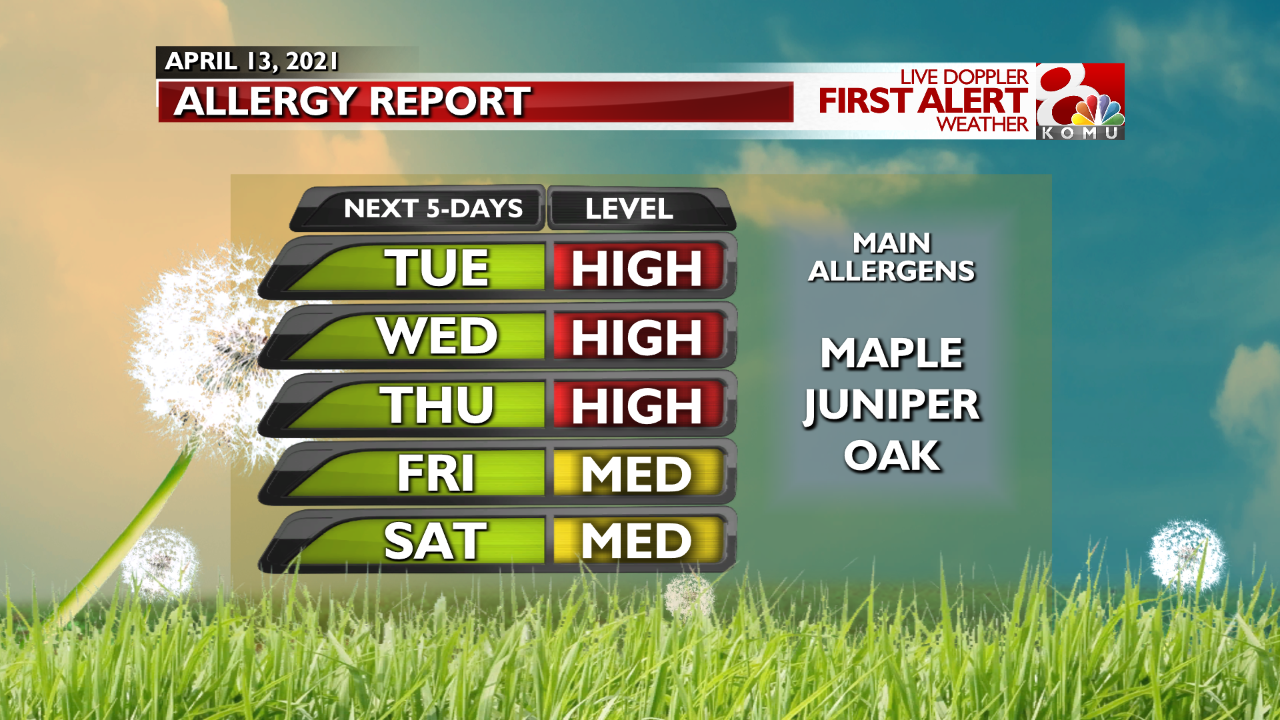 allergy forecast